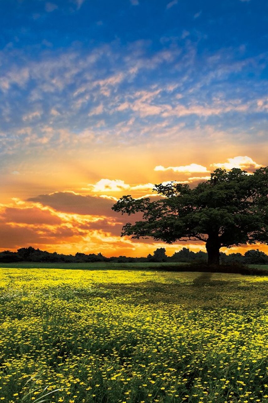 Shadows At Sunset Ii Poster Print by Celebrate Life Gallery - Item # VARPDX70073